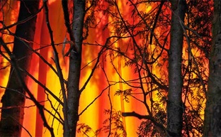Victorian Bushfires